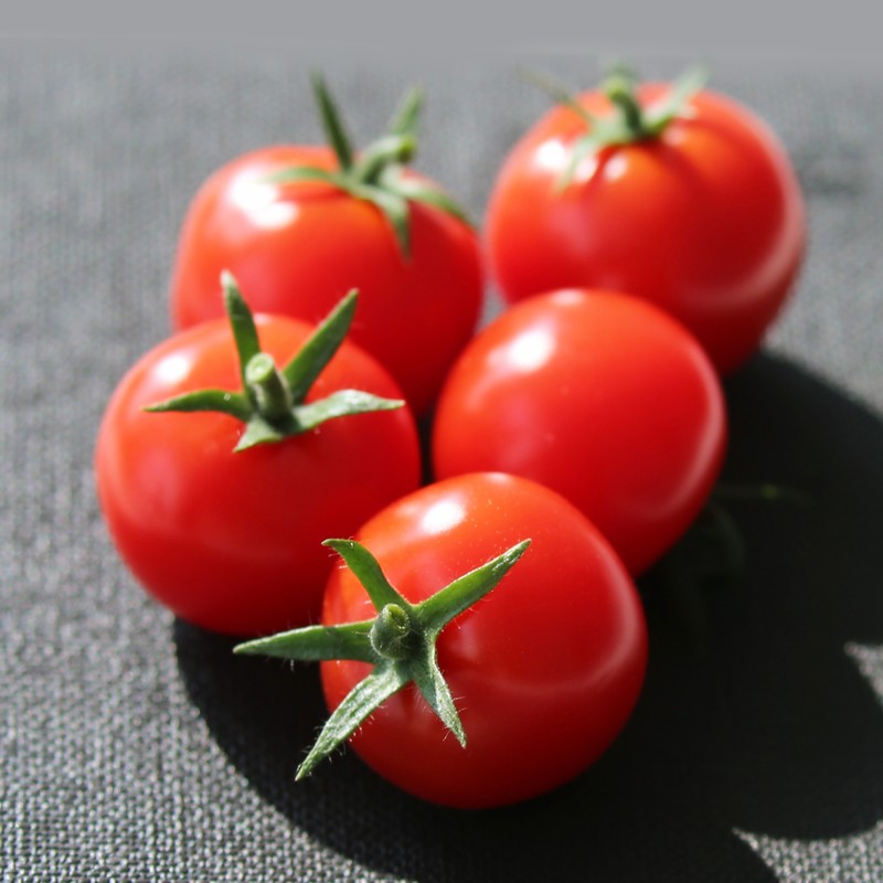 KS��ʱ��(�й���)�ٷ���վ