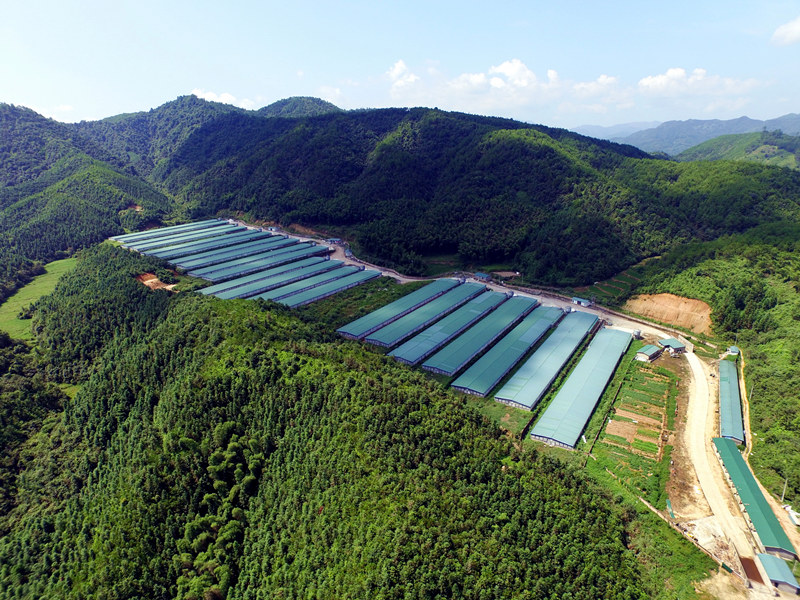 KS��ʱ��(�й���)�ٷ���վ