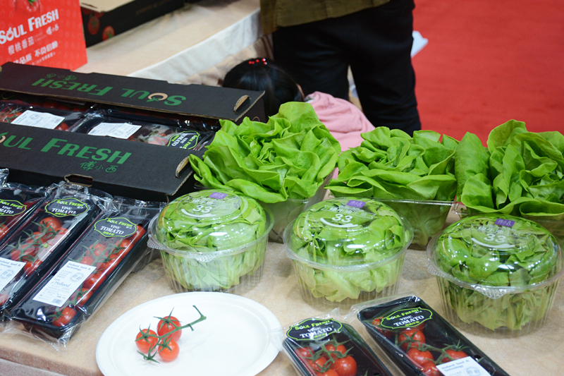 KS��ʱ��(�й���)�ٷ���վ