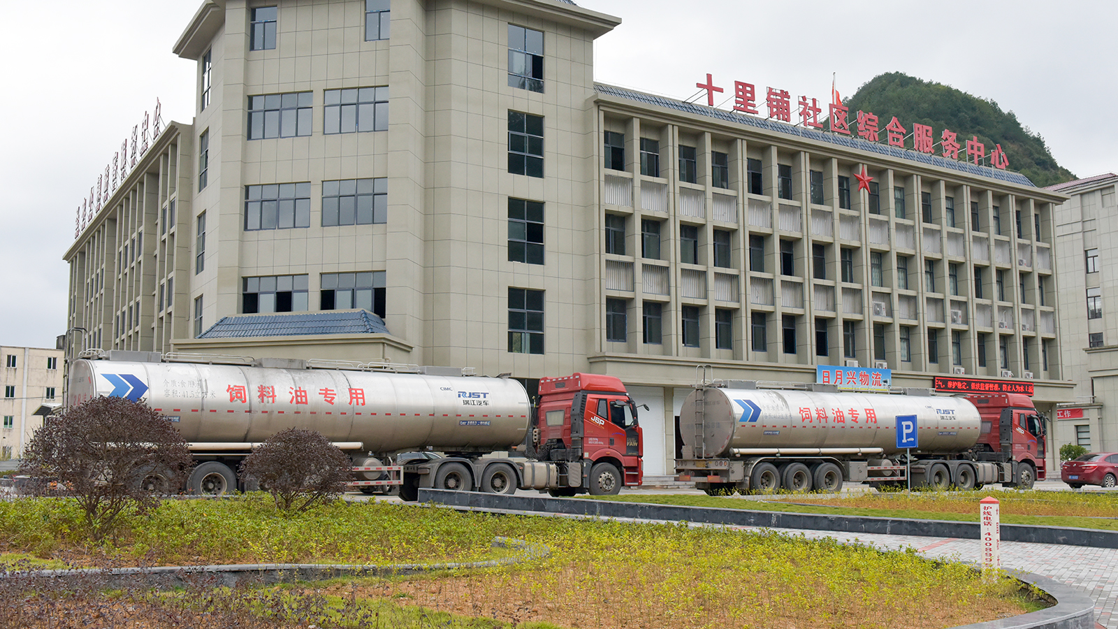 KS��ʱ��(�й���)�ٷ���վ