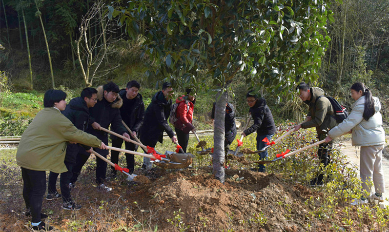 KS��ʱ��(�й���)�ٷ���վ