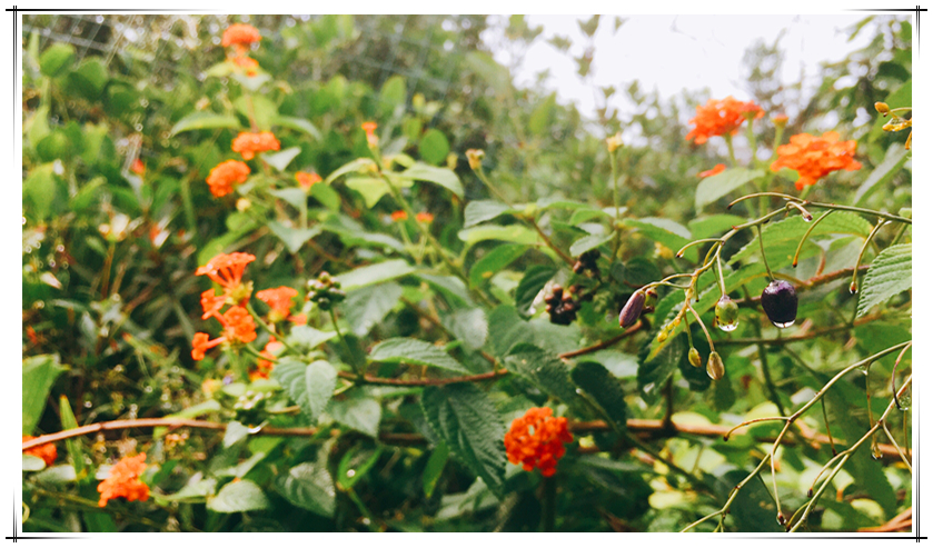 KS��ʱ��(�й���)�ٷ���վ