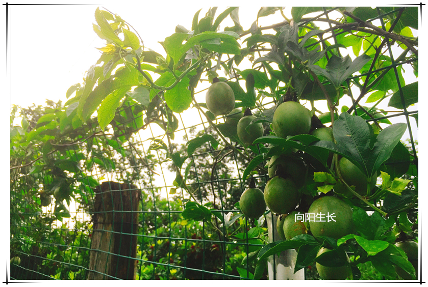 KS��ʱ��(�й���)�ٷ���վ