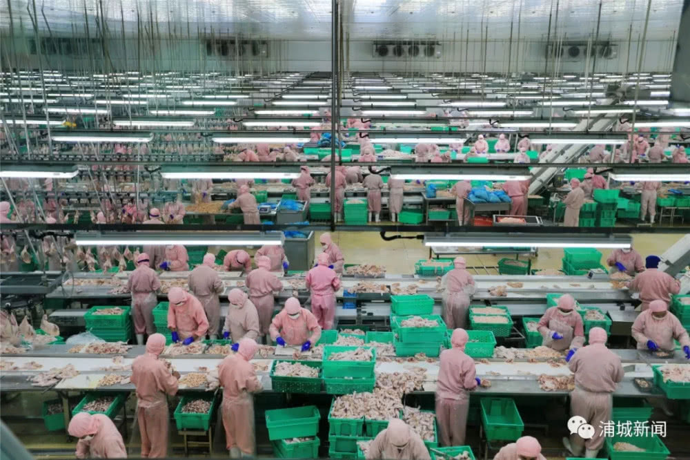 KS��ʱ��(�й���)�ٷ���վ