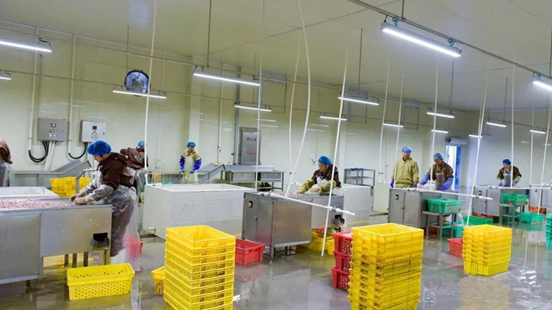 KS��ʱ��(�й���)�ٷ���վ