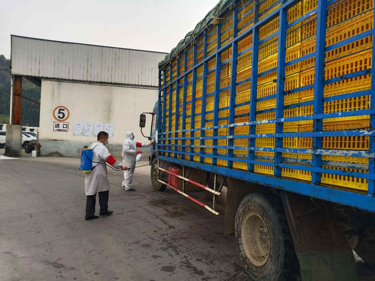 KS��ʱ��(�й���)�ٷ���վ