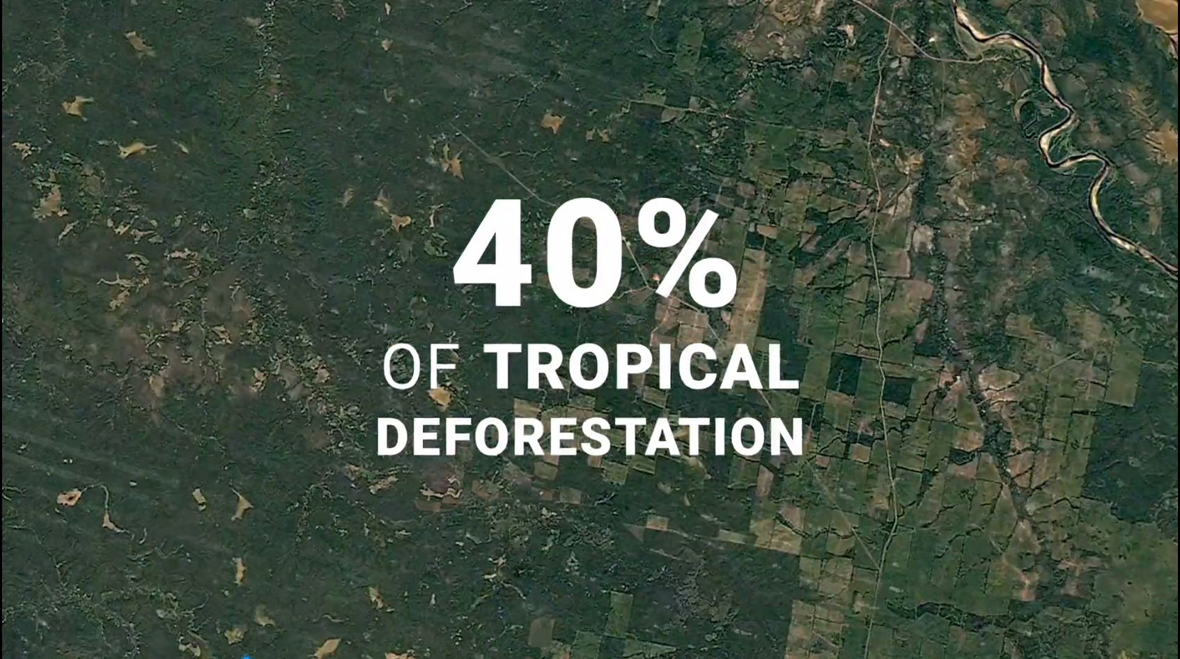 KS��ʱ��(�й���)�ٷ���վ