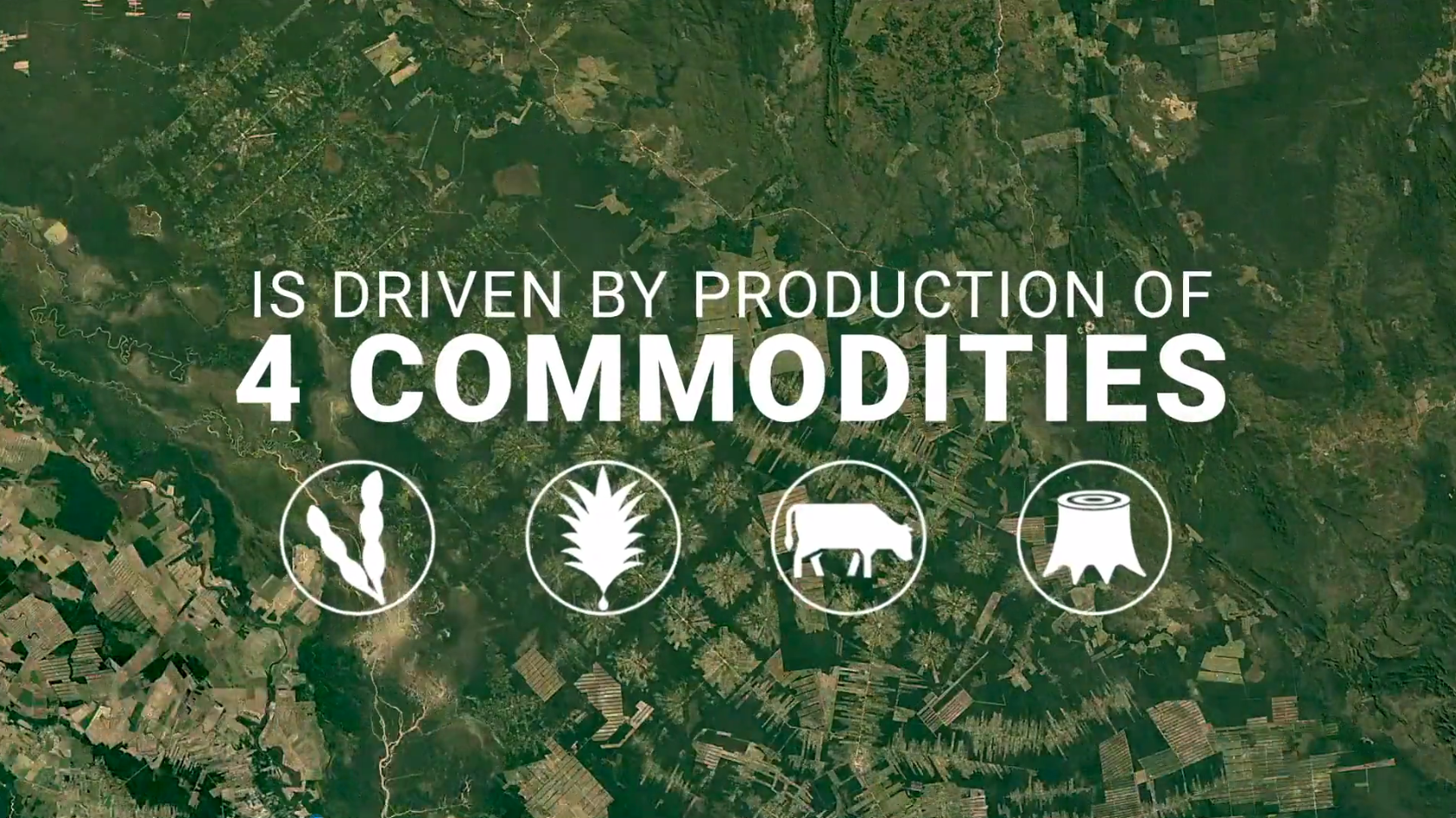 KS��ʱ��(�й���)�ٷ���վ