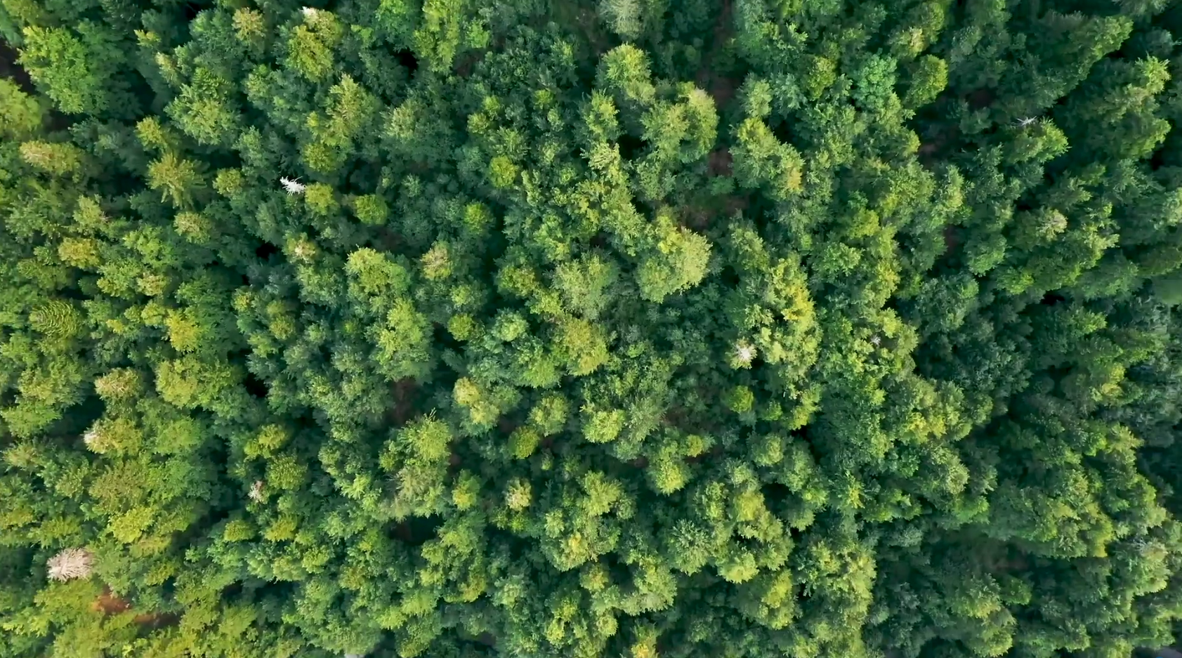 KS��ʱ��(�й���)�ٷ���վ