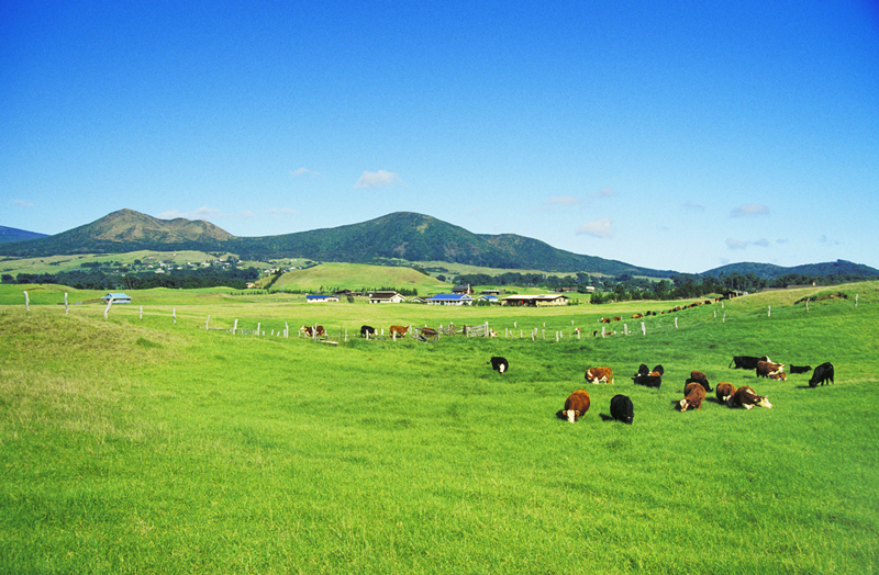 KS��ʱ��(�й���)�ٷ���վ