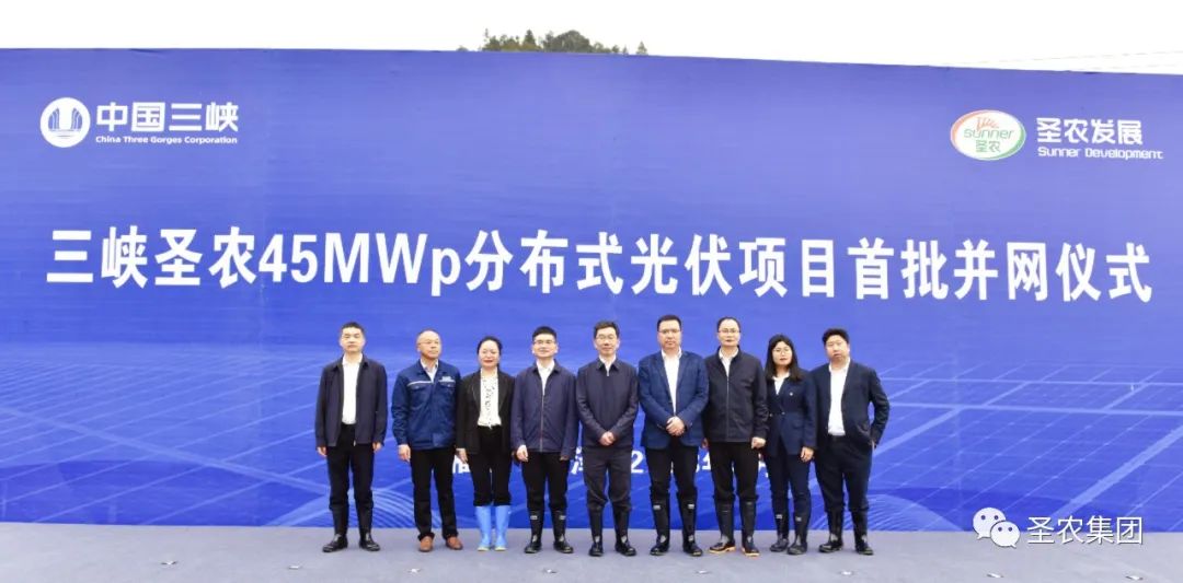 KS��ʱ��(�й���)�ٷ���վ