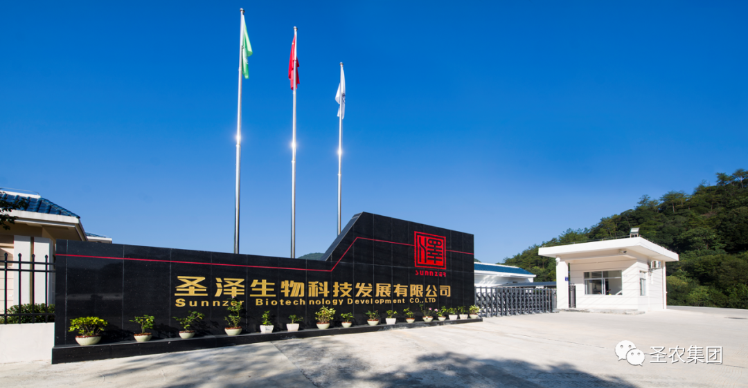 KS��ʱ��(�й���)�ٷ���վ