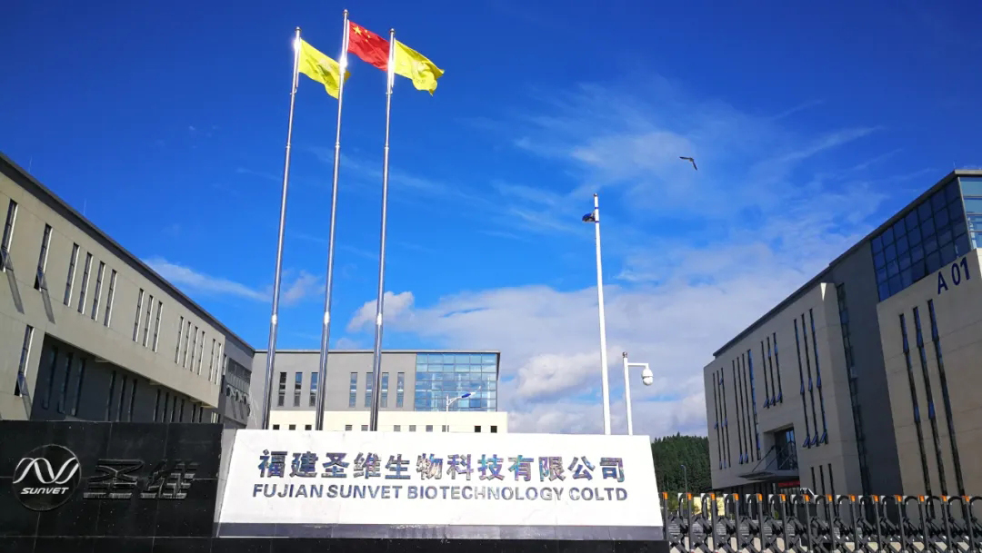 KS��ʱ��(�й���)�ٷ���վ