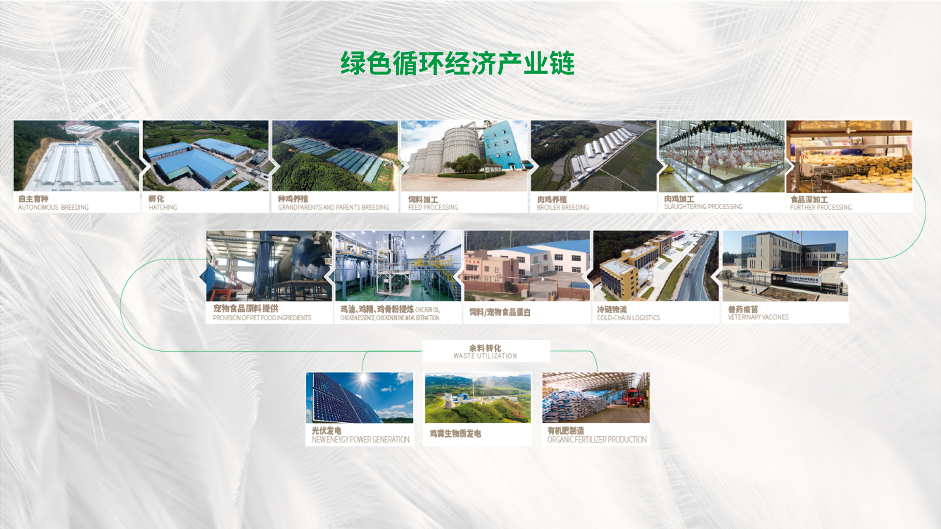 ��ɫѭ�����ù�ҵ��