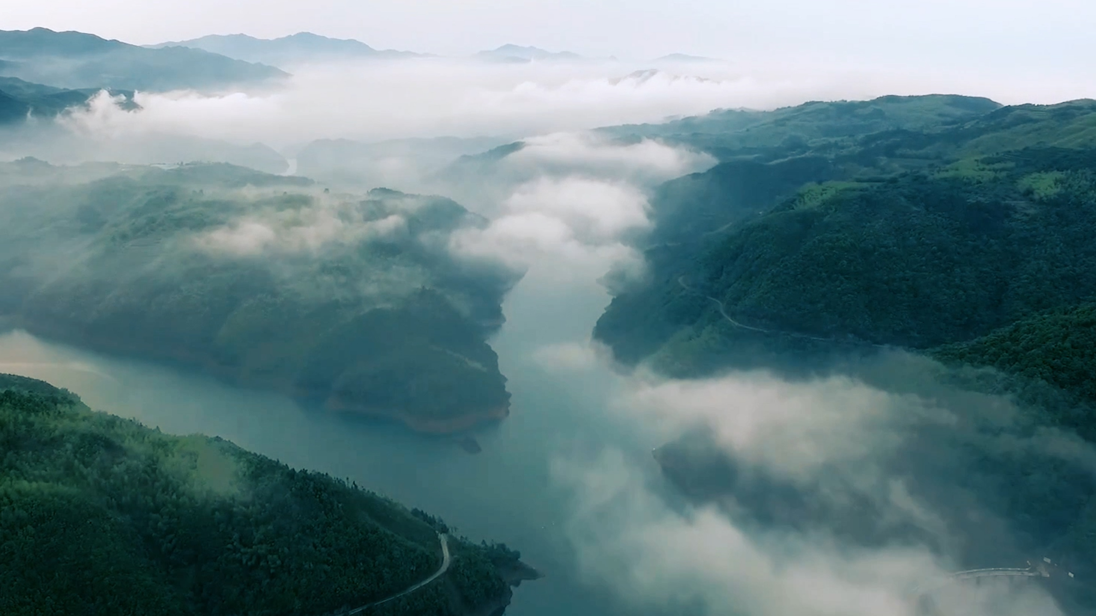 �ƶ���ҵ��ɫ�������������������ƽ���̬��������